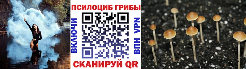 Галлюциногенные грибы мицелий  Усть-Катав 